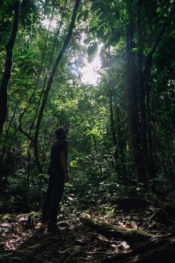 Hala-Bala vahşi yaşam sığınağının yağmur ormanlarında duran adam.
