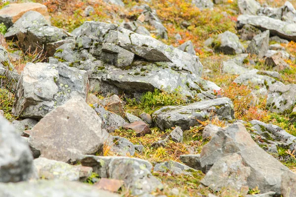 Rochers et pierres dans les montagnes, automne au Kamchatka — Photo