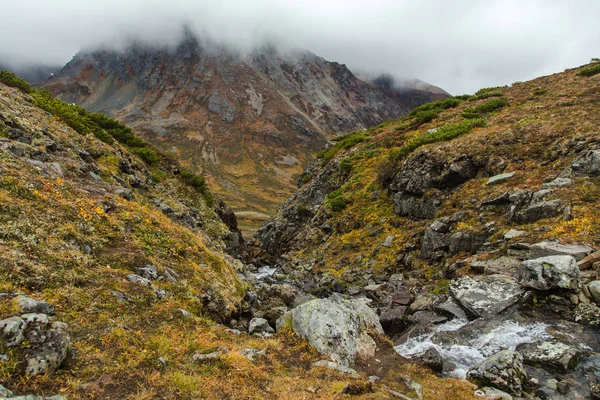 Foggy paysage d'automne dans les montagnes de Vachkazhetz, péninsule du Kamchatka, Russie . — Photo