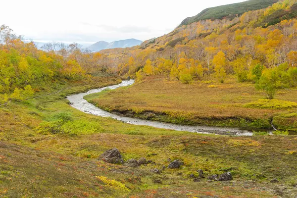 Fluss in den Bergen. wunderschöne Herbstlandschaft in Kamtschatka in der Nähe des Vulkans Vachkazhetz — Stockfoto