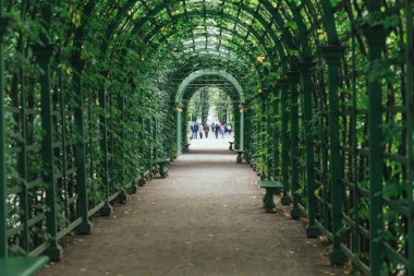 Rusya'da Saint Petersburg Yaz bahçesi
