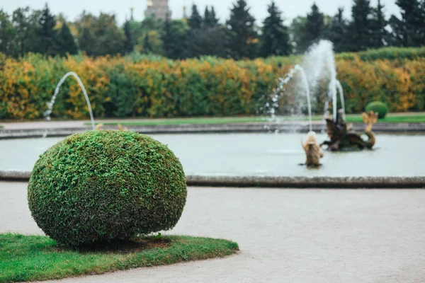 Saint Petersburg, Russia - 18 September 2015 - fountaine in the upper garden in Peterhof park — Stock Photo, Image