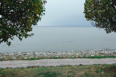 Bulutlu sonbahar gününde Peterhof Finlandiya Körfezi.