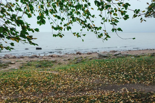 Санкт-Петербург, Россия - 18 сентября 2015 Финский залив в Петергофе в пасмурный осенний день . — стоковое фото