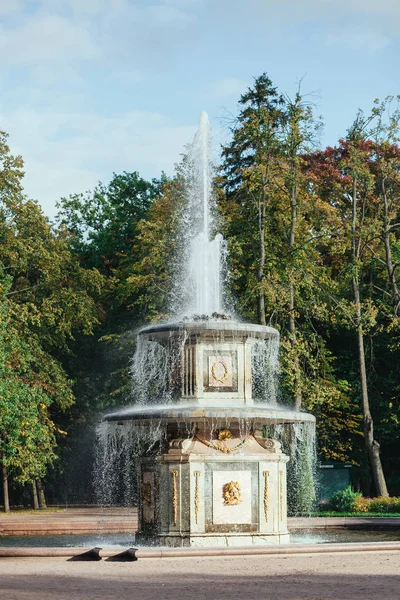 San Petersburgo, Rusia - 18 de septiembre de 2015 - fuente en el jardín de Peterhof . — Foto de Stock