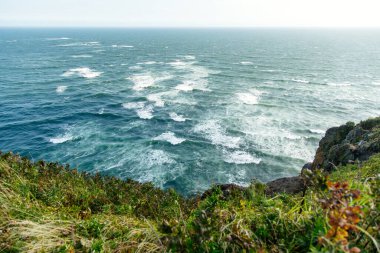 Pasifik Okyanusu Rusya Kamçatka Penninsula Seyahat