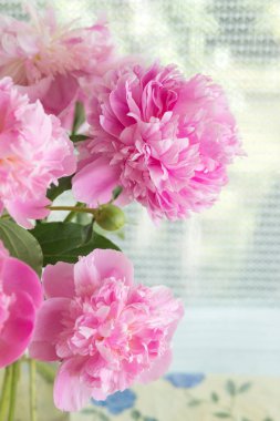 Masadaki vazoda pembe şakayıklar. kırsal hayat buketi