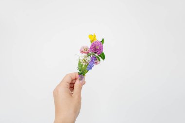 Beyaz arka planda küçük bir buket kır çiçeği, yaz ve düğün tasarımı için telif alanı. Yonca ve fare ezmesinden yaka çiçeği