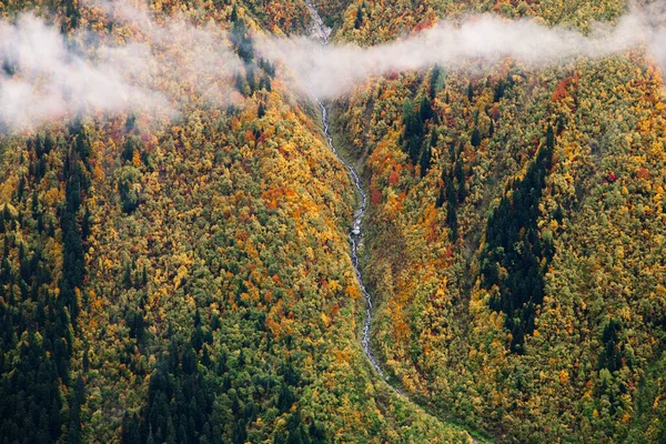 Prachtig kleurrijk geel bos in de bergen, schilderachtig uitzicht vanaf de berg Mussa Achitara in Dombay skigebied in het najaar, schilderachtig landschap, Kaukasus, Rusland — Stockfoto