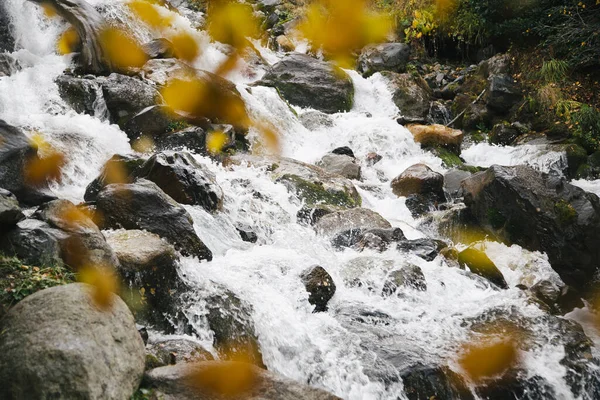 Fluxo Água Rio Montanhas Outono Grandes Pedras Pretas Através Folhas — Fotografia de Stock