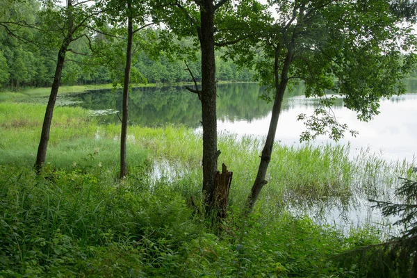 Lago Svetloyar Monumento Natural Patrimonio Cultural Rusia Voskresensky Distrito Nizhny — Foto de Stock