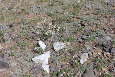 Mugur-Aksy köyünün çevresi. Temmuz 2019.