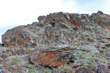Mugur-Aksy köyünün çevresi. Temmuz 2019.