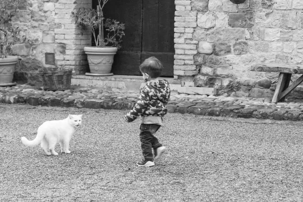 Краса ферми кіт у дворі з дитиною — стокове фото