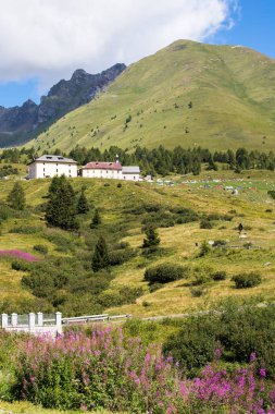 Yaz mevsiminde Alp manzarası, dağ geçidinde güneşli bir gün.