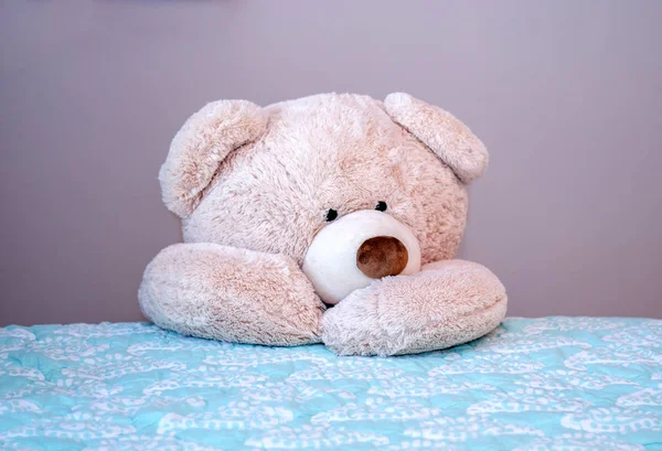 Big teddy bear kneels beside the bed for evening prayers