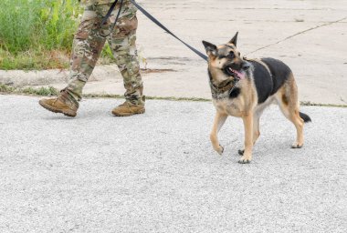 Bir asker askeri köpeğini yürür tasma, insan ve hayvan sırasında bir olay St joseph Mi ABD üniformalı