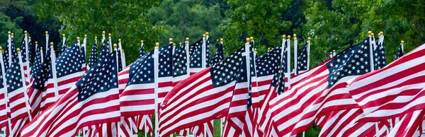 Velká Skupina Fly Americké Vlajky Větru Vytváří Krásnou Scénu Hrdosti — Stock fotografie