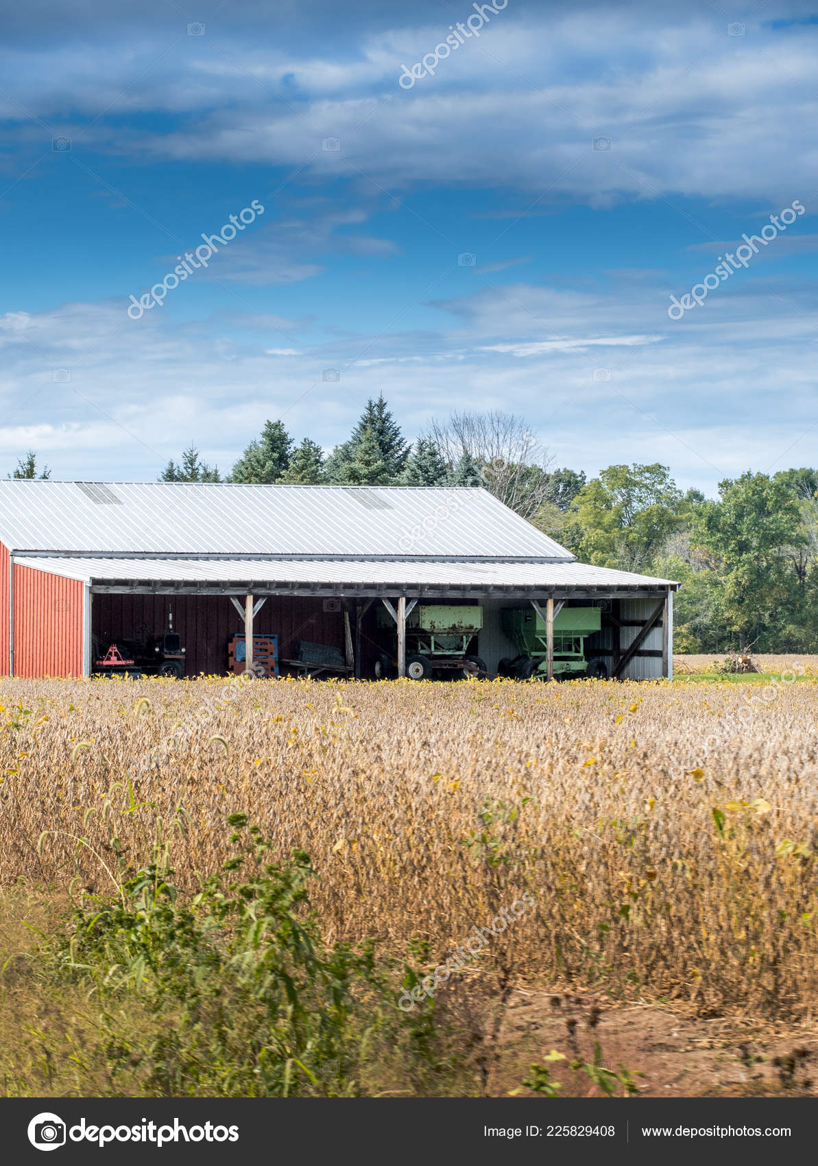 Campo Oro Con Granero Rojo Herramientas Granja — Foto de stock #225829408 ©  inyrdreams, image size:1193x1700