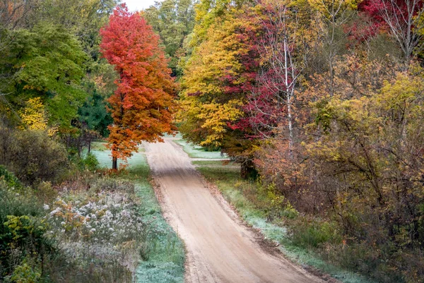 アメリカ合衆国ミシガン州でのカラフルな秋の木々 に囲まれた砂利道 — ストック写真