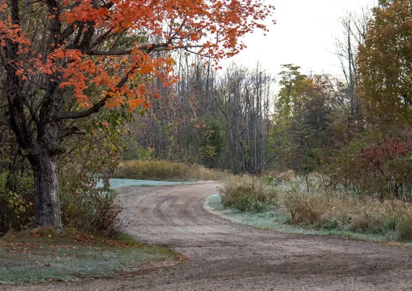 Scenic Fall Landscape Early Fall Day Michigan Usa — Stock Photo, Image