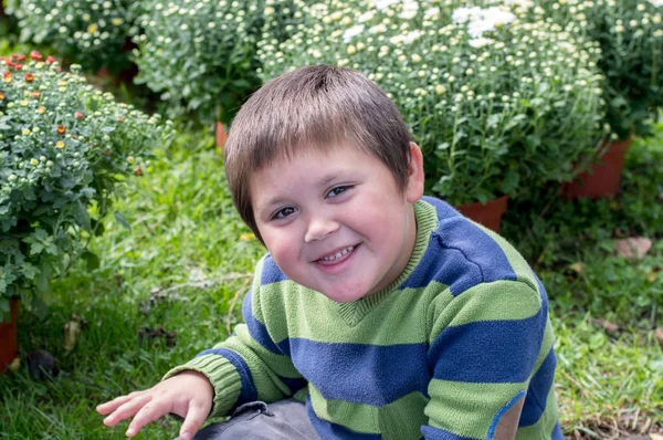 Lindo Niño Posa Para Una Foto Una Granja Crisantemos —  Fotos de Stock