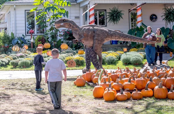 Septiembre 2018 Tres Robles Michigan Gente Una Granja Otoño Local —  Fotos de Stock