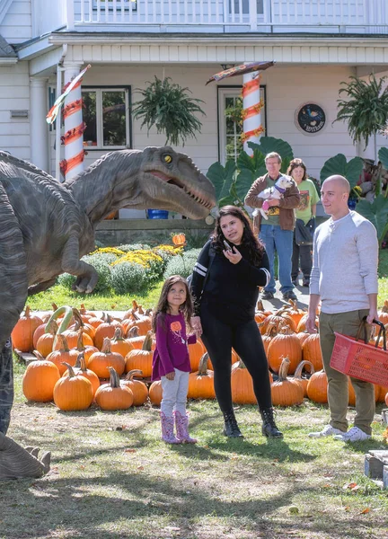 Septiembre 2018 Tres Robles Michigan Una Niña Está Más Divertida —  Fotos de Stock