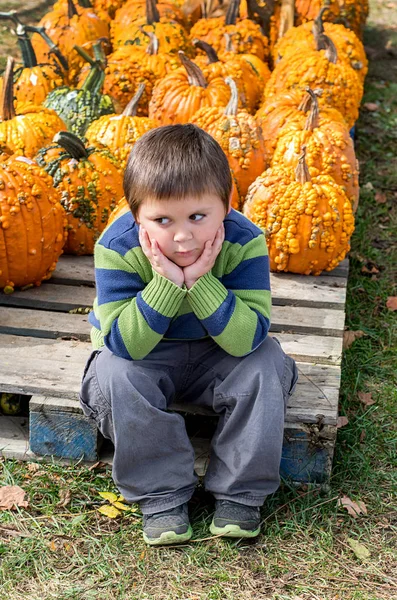 Overwhelmed Little Boy Sits Despair Pumpkin Patch Just Has Too — Stock Photo, Image