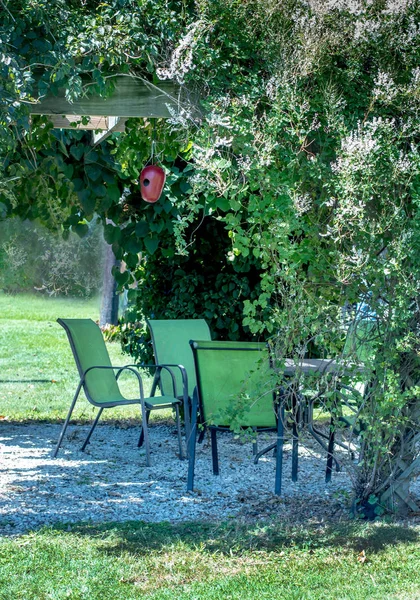 Peaceful Verde Mandril Folhoso Com Mesa Cadeiras — Fotografia de Stock