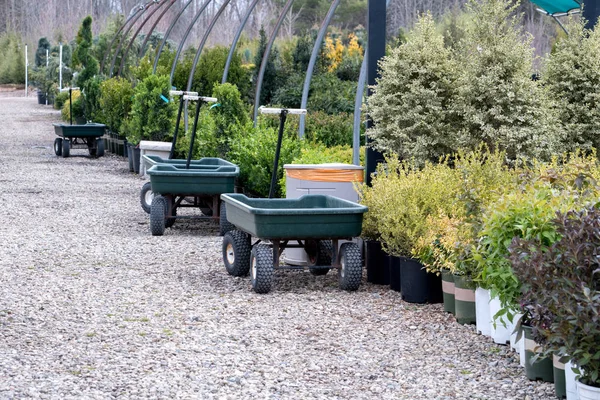 Vor Einer Gärtnerei Stehen Gartenwagen Und Warten Darauf Dass Sich — Stockfoto