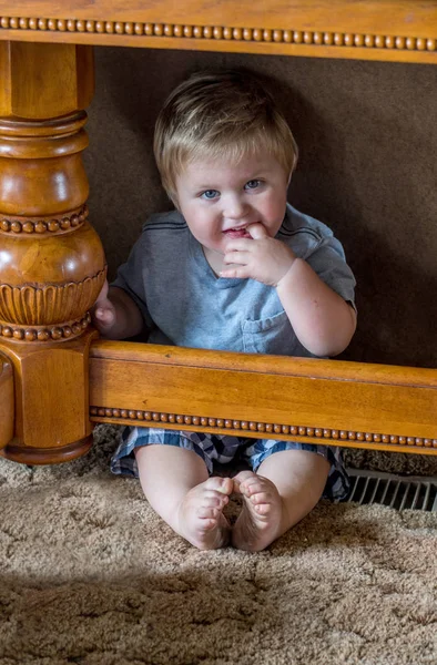 Little boy hiding under table — Stock Photo, Image