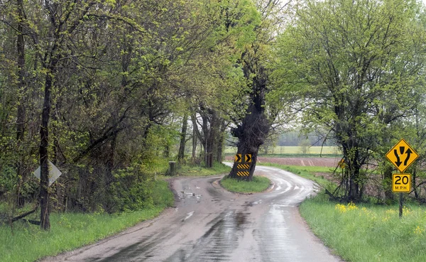 Unique road built around a tree — Stock Photo, Image