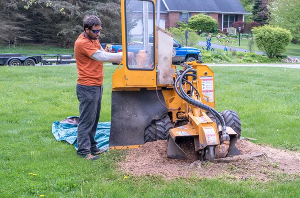 Werknemer grinds een boomstronk — Stockfoto