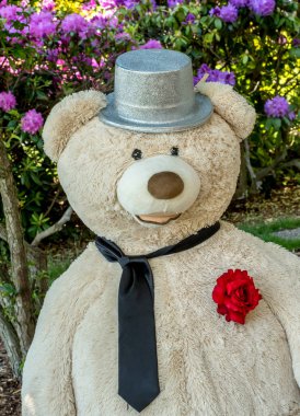 damat oyuncak ayı portre