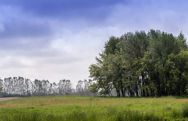 미시간 미국의 아름다운 목초지 — 스톡 사진