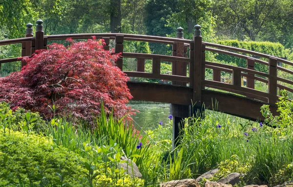 Garden in bloom with arched bridge — Stock Photo, Image