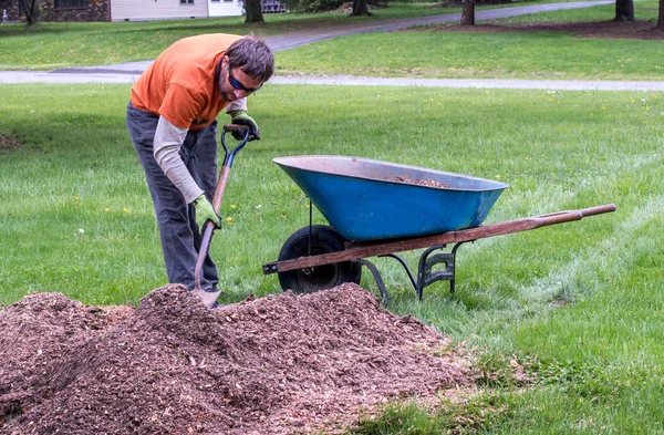 Cleaning up mulch in a home owners yard — Stock Photo, Image