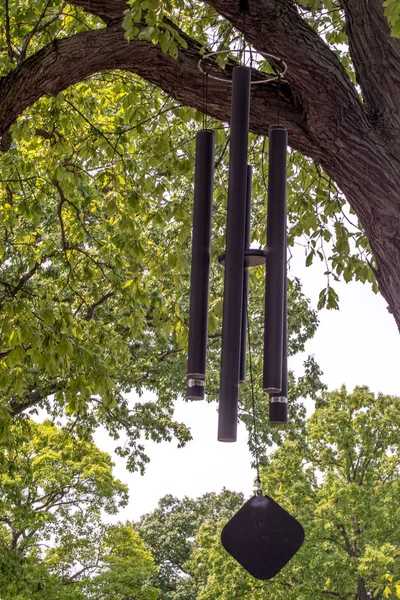 wind chimes in the tree