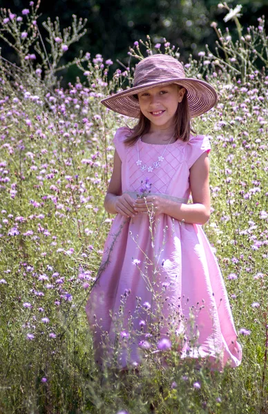 Bonita chica en rosa en un campo de flores silvestres de color rosa —  Fotos de Stock