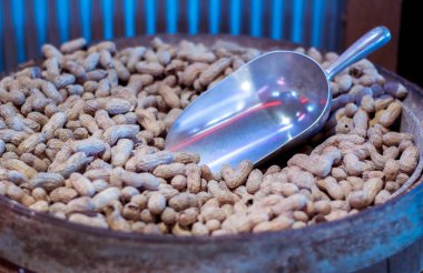 Kavrulmuş fıstık dolu varil