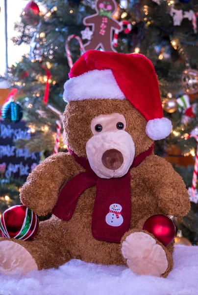 Santa bear happily posing in front of a tree — Stock Photo, Image