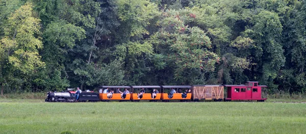 Turistas en un viaje en tren en miniatura —  Fotos de Stock