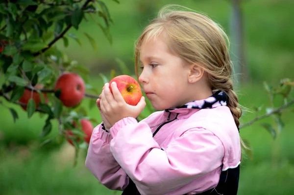 Mała dziewczynka cieszy się słodkim aromatem jabłka — Zdjęcie stockowe