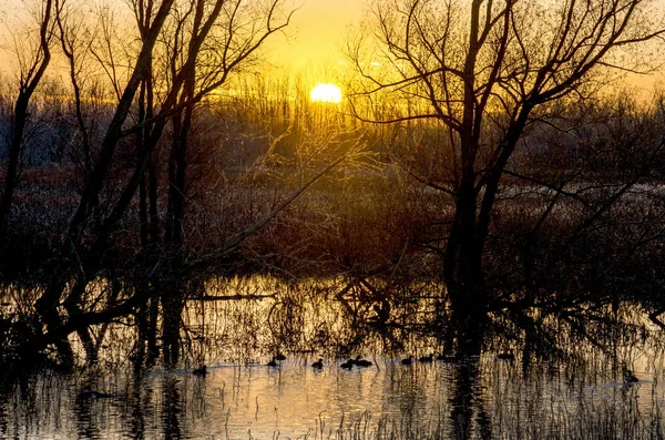 Indiana zonsondergang over een natuurreservaat — Stockfoto