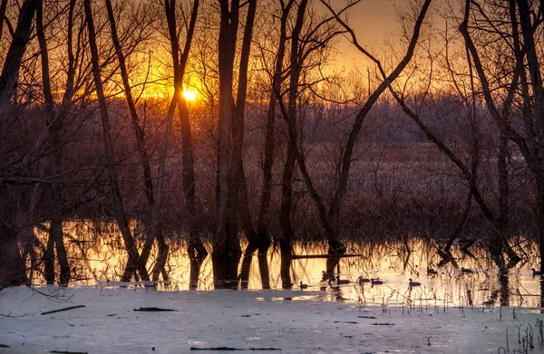 Індіана захід сонця над заповідник дикої природи — стокове фото