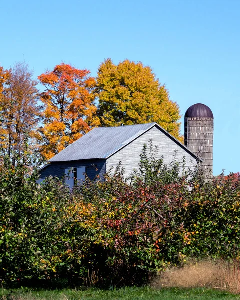 Alte Scheune mit Herbstfarbe — Stockfoto