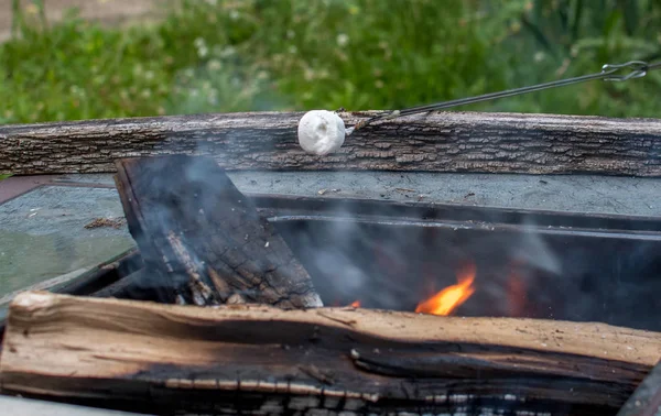 Roasting marshmallows over a fire pit — Stock Photo, Image