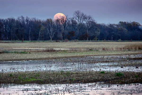 Een volle maan stijgt — Stockfoto