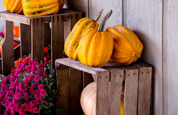 Automne nature morte avec des fleurs, des gourdes et des caisses — Photo